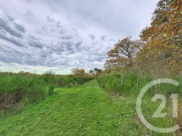 Maison à vendre - 9 pièces - 607 m2 - Pruniers En Sologne - 41 - CENTRE