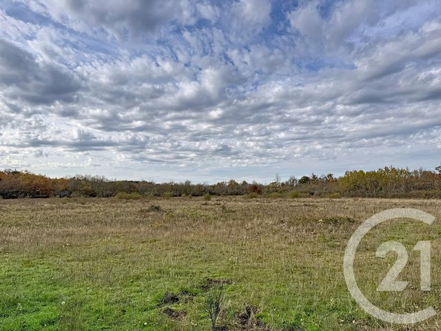 Maison à vendre - 9 pièces - 607 m2 - Pruniers En Sologne - 41 - CENTRE