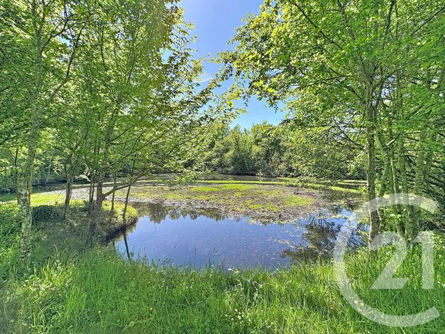 Maison &agrave; vendre - 9 pi&egrave;ces - 306,79 m2 - Pruniers En Sologne - 41 - CENTRE