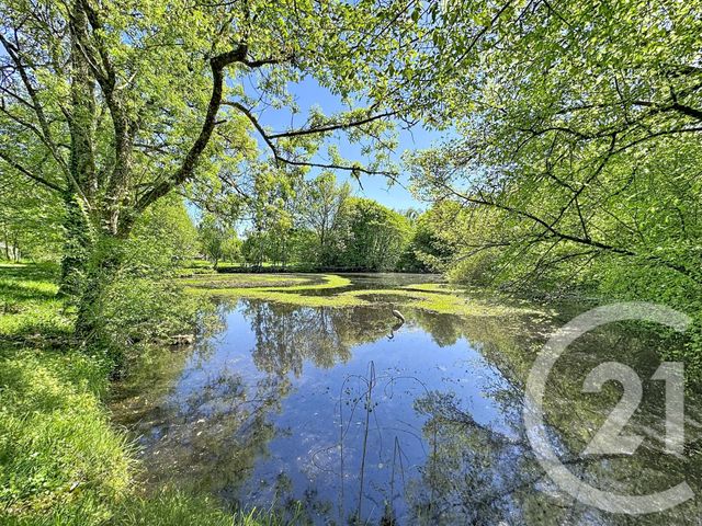 Maison &agrave; vendre - 9 pi&egrave;ces - 306,79 m2 - Pruniers En Sologne - 41 - CENTRE