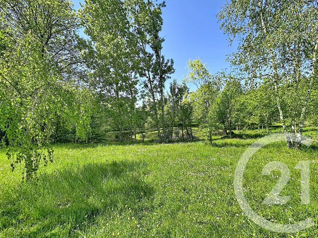 Maison &agrave; vendre - 9 pi&egrave;ces - 306,79 m2 - Pruniers En Sologne - 41 - CENTRE