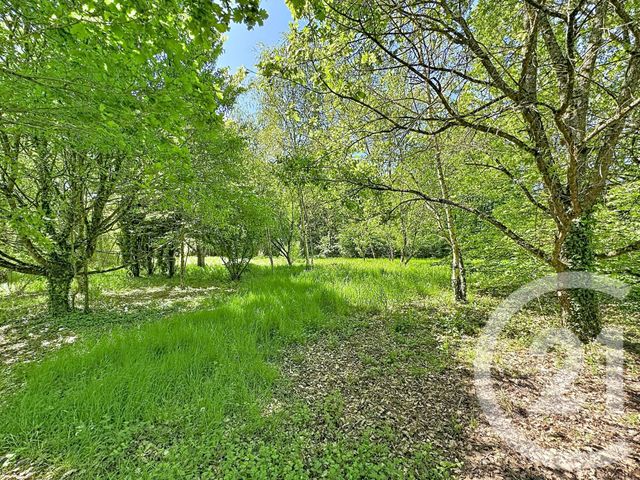 Maison &agrave; vendre - 9 pi&egrave;ces - 306,79 m2 - Pruniers En Sologne - 41 - CENTRE