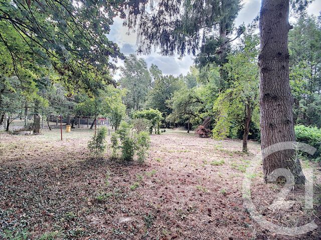 Maison à vendre - 2 pièces - 30,82 m2 - PRUNIERS EN SOLOGNE - 41 - CENTRE Maison à vendre - 2 pièces - 30,82 m2 - PRUNIERS EN SOLOGNE - 41 - CENTRE