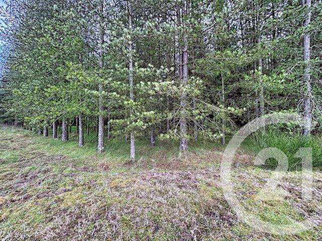 Maison &agrave; vendre - 12 pi&egrave;ces - 420 m2 - Gievres - 41 - CENTRE