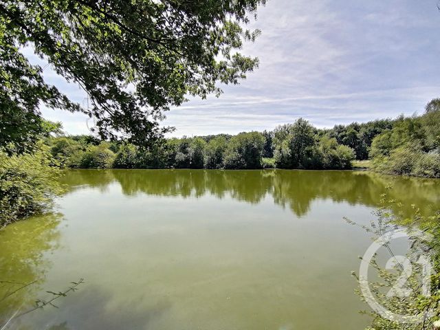  - PRUNIERS EN SOLOGNE - 