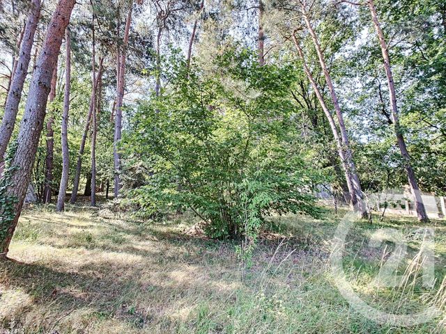 Maison à vendre - 7 pièces - 154,22 m2 - Romorantin Lanthenay - 41 - CENTRE