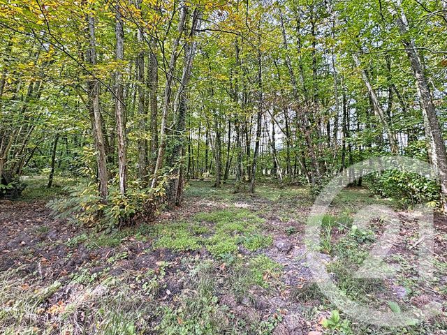 Maison à vendre - 6 pièces - 150,94 m2 - Pruniers En Sologne - 41 - CENTRE