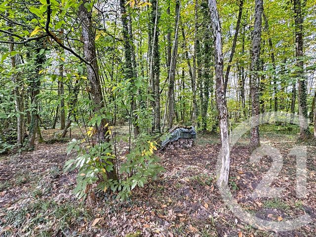 Maison à vendre - 6 pièces - 150,94 m2 - Pruniers En Sologne - 41 - CENTRE