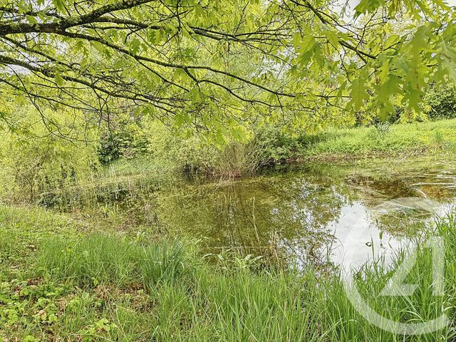 Maison à vendre - 7 pièces - 159,22 m2 - Romorantin Lanthenay - 41 - CENTRE