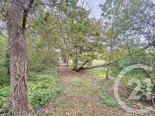 Maison à vendre - 4 pièces - 138,53 m2 - Romorantin Lanthenay - 41 - CENTRE