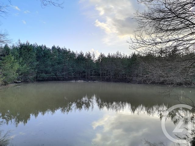 Terrain à vendre - 108852 m2 - Villefranche Sur Cher - 41 - CENTRE