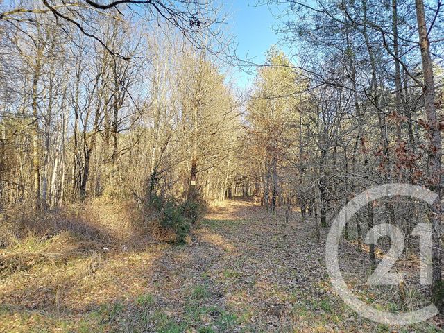 Terrain à vendre - 108852 m2 - Villefranche Sur Cher - 41 - CENTRE