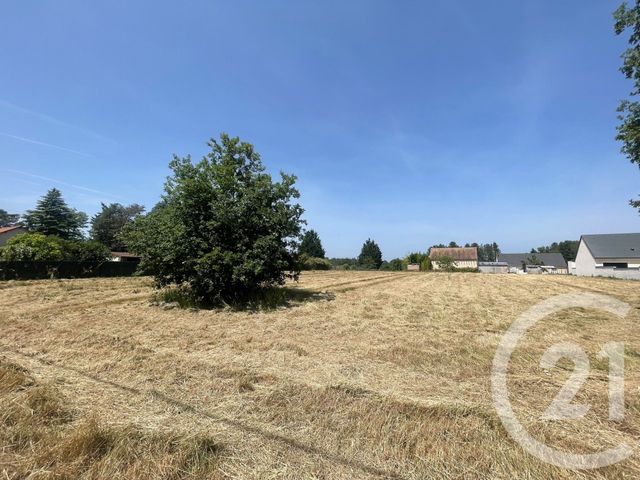Terrain à vendre - 3951 m2 - Villefranche Sur Cher - 41 - CENTRE