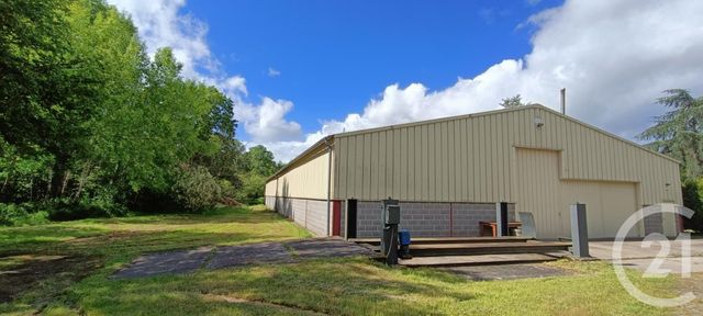 Maison &agrave; vendre - 9 pi&egrave;ces - 338 m2 - 41 - CENTRE