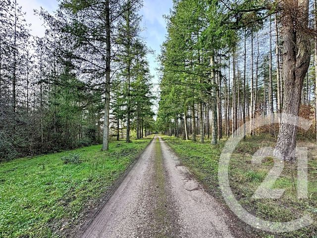 Maison à vendre None