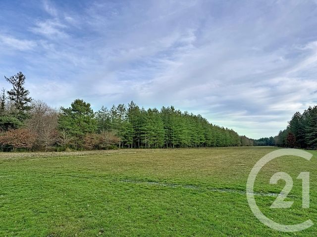 Maison &agrave; vendre - 9 pi&egrave;ces - 338 m2 - 41 - CENTRE