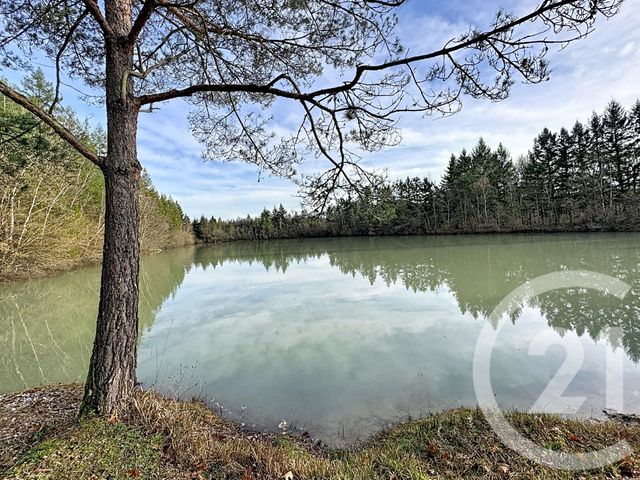 Maison &agrave; vendre - 9 pi&egrave;ces - 338 m2 - 41 - CENTRE