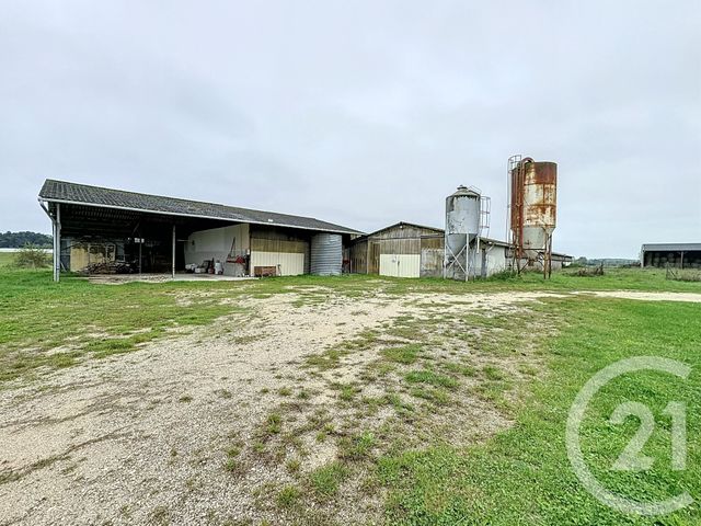 Afficher la photo en grand Terrain à vendre - 37628 m2 - Chatillon Sur Cher - 41 - CENTRE