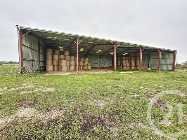 Afficher la photo en grand Terrain à vendre - 37628 m2 - Chatillon Sur Cher - 41 - CENTRE