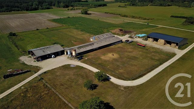 Afficher la photo en grand Terrain à vendre - 37628 m2 - Chatillon Sur Cher - 41 - CENTRE