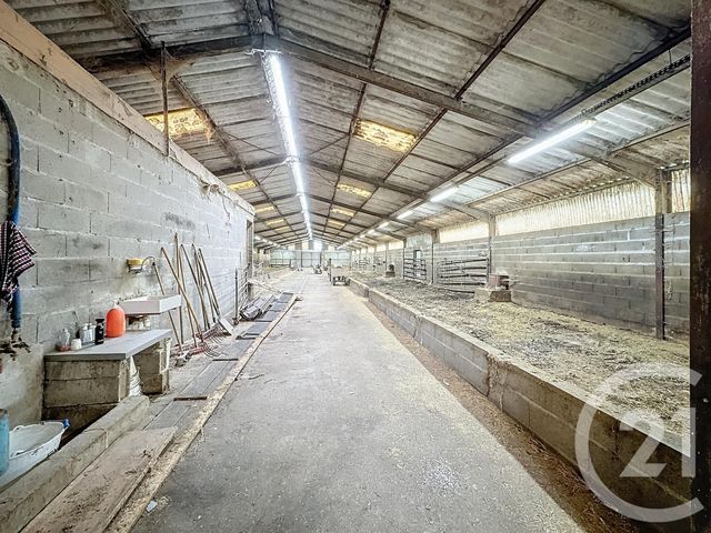 Afficher la photo en grand Terrain à vendre - 37628 m2 - Chatillon Sur Cher - 41 - CENTRE