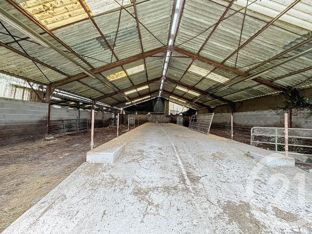 Afficher la photo en grand Terrain à vendre - 37628 m2 - Chatillon Sur Cher - 41 - CENTRE