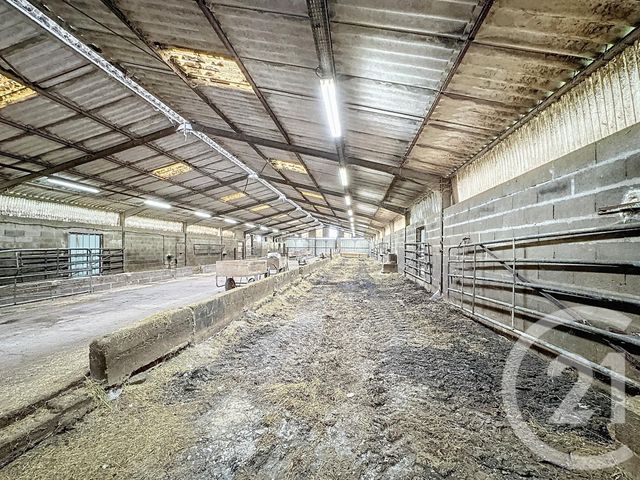 Afficher la photo en grand Terrain à vendre - 37628 m2 - Chatillon Sur Cher - 41 - CENTRE