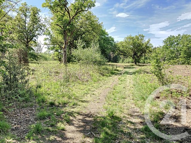 Terrain à vendre - 474003 m2 - Nouan Le Fuzelier - 41 - CENTRE