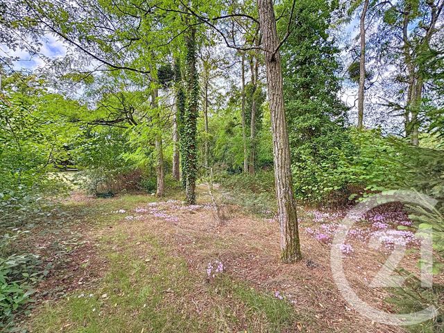 Maison à vendre - 6 pièces - 181,48 m2 - Villefranche Sur Cher - 41 - CENTRE