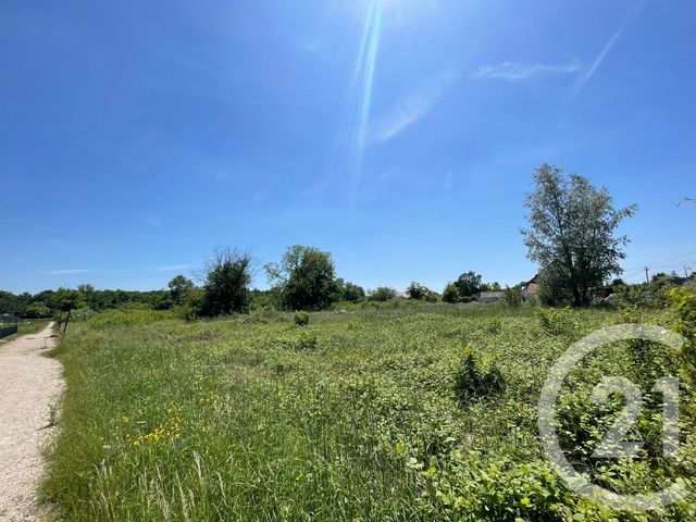 terrain - MUR DE SOLOGNE - 41
