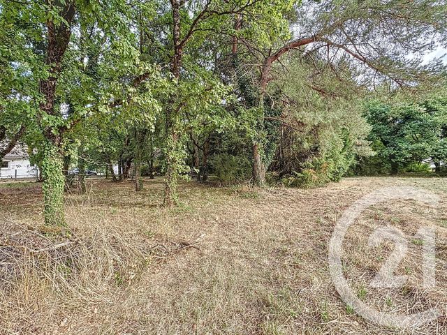 Terrain à vendre - 3280 m2 - Villefranche Sur Cher - 41 - CENTRE