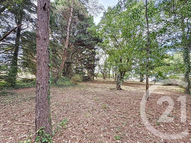 Terrain à vendre - 3280 m2 - Villefranche Sur Cher - 41 - CENTRE