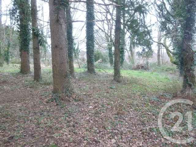 Terrain à vendre - 3280 m2 - Villefranche Sur Cher - 41 - CENTRE