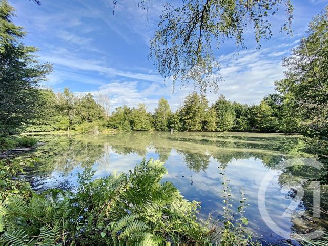 Terrain à vendre - 10666 m2 - Vernou En Sologne - 41 - CENTRE