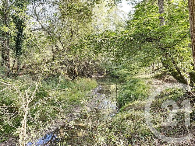 Terrain à vendre - 10666 m2 - Vernou En Sologne - 41 - CENTRE
