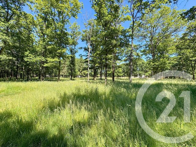 Terrain à vendre - 11762 m2 - Villefranche Sur Cher - 41 - CENTRE