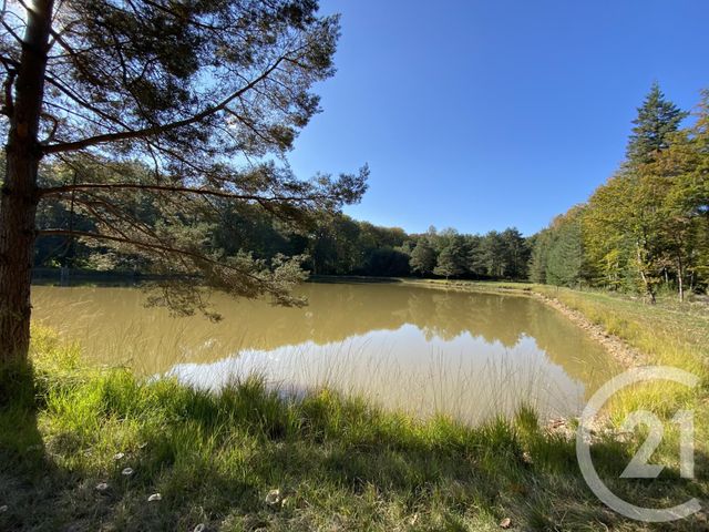 Maison à vendre - 4 pièces - 180 m2 - 18 - CENTRE