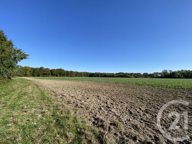 Maison à vendre - 4 pièces - 180 m2 - 18 - CENTRE