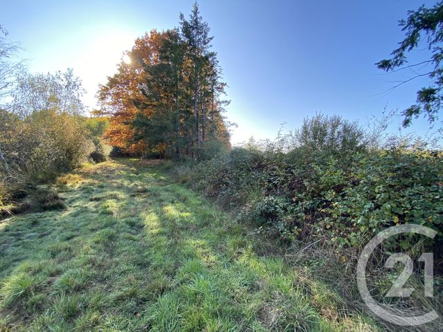 Maison à vendre - 4 pièces - 180 m2 - 18 - CENTRE