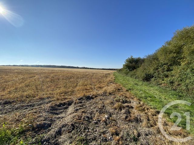 Maison à vendre - 4 pièces - 180 m2 - 18 - CENTRE