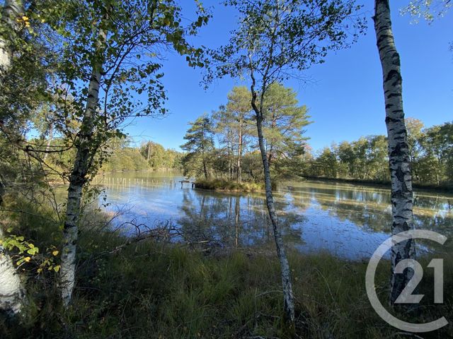 Maison à vendre - 4 pièces - 180 m2 - 18 - CENTRE