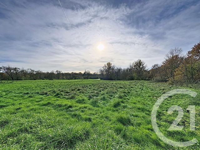 Terrain à vendre - 4840 m2 - Billy - 41 - CENTRE