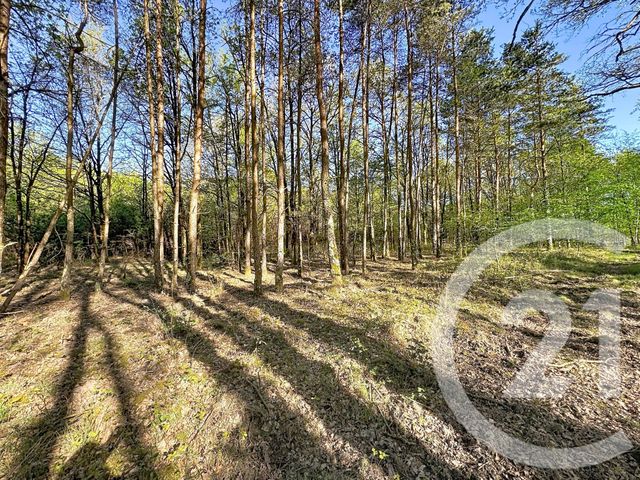 Terrain &agrave; vendre - 56730 m2 - Lassay Sur Croisne - 41 - CENTRE