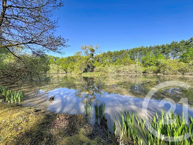 Terrain &agrave; vendre - 56730 m2 - Lassay Sur Croisne - 41 - CENTRE