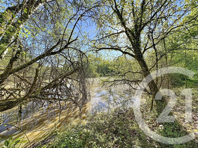 Terrain &agrave; vendre - 56730 m2 - Lassay Sur Croisne - 41 - CENTRE