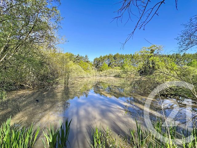 Terrain &agrave; vendre - 56730 m2 - Lassay Sur Croisne - 41 - CENTRE