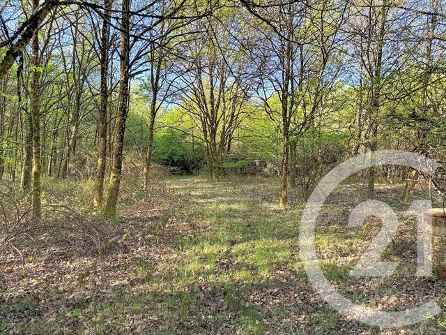 Terrain &agrave; vendre - 56730 m2 - Lassay Sur Croisne - 41 - CENTRE