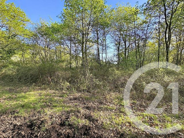 Terrain &agrave; vendre - 56730 m2 - Lassay Sur Croisne - 41 - CENTRE