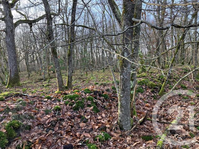 Maison à vendre - 8 pièces - 247 m2 - Vouzon - 41 - CENTRE