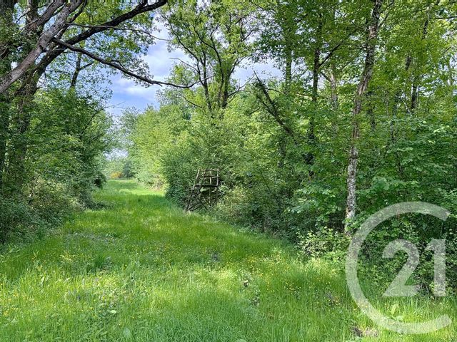 Maison à vendre - 15 pièces - 235 m2 - 41 - CENTRE